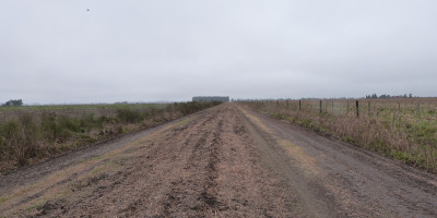 Óptimo estado de los caminos rurales