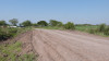 Continúan los trabajos en Camino Rurales