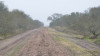 Óptimo estado de los caminos rurales
