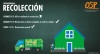 Cronograma de Recolección de Residuos